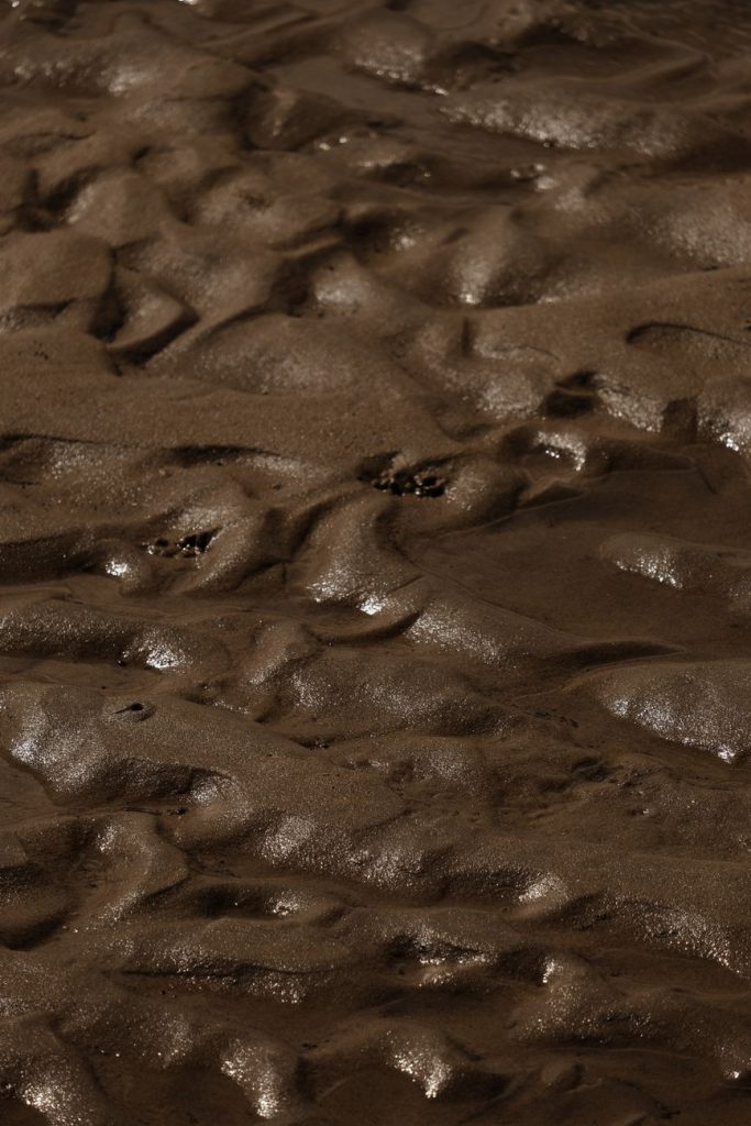 Aerial view of Korean coastal tidal mudflats at low tide with winding water channels and migratory birds