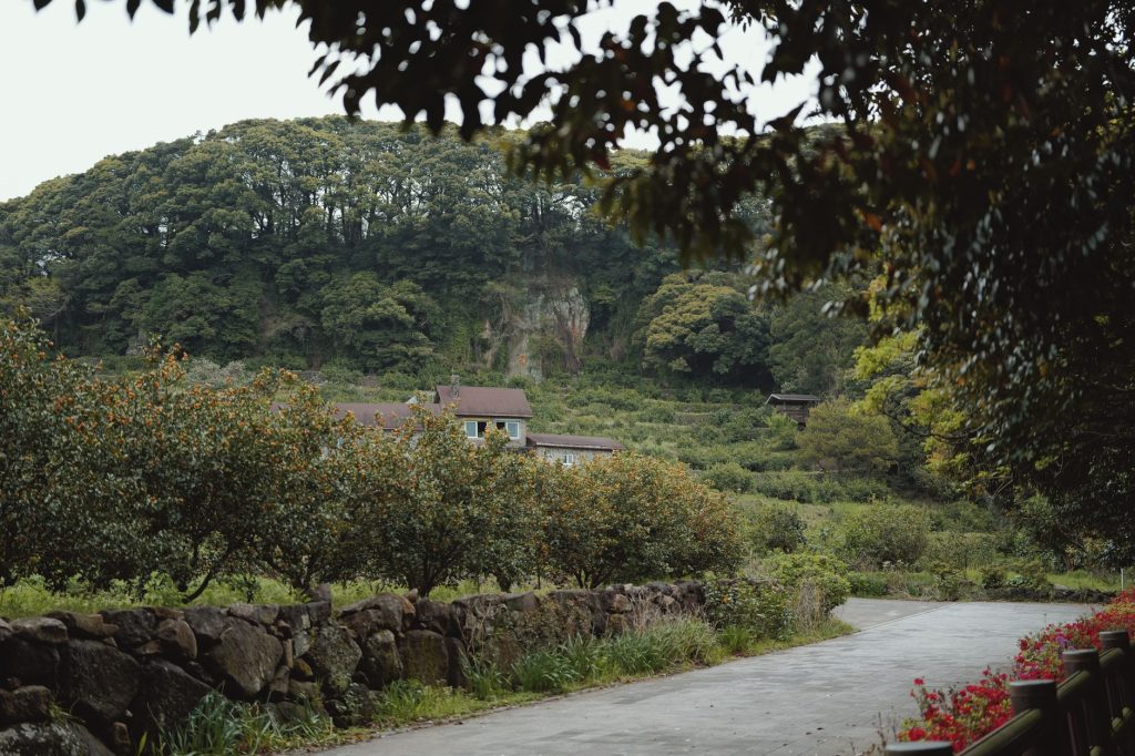 A converted former schoolhouse arts venue in a green Korean mountain valley with an outdoor stage and visitors
