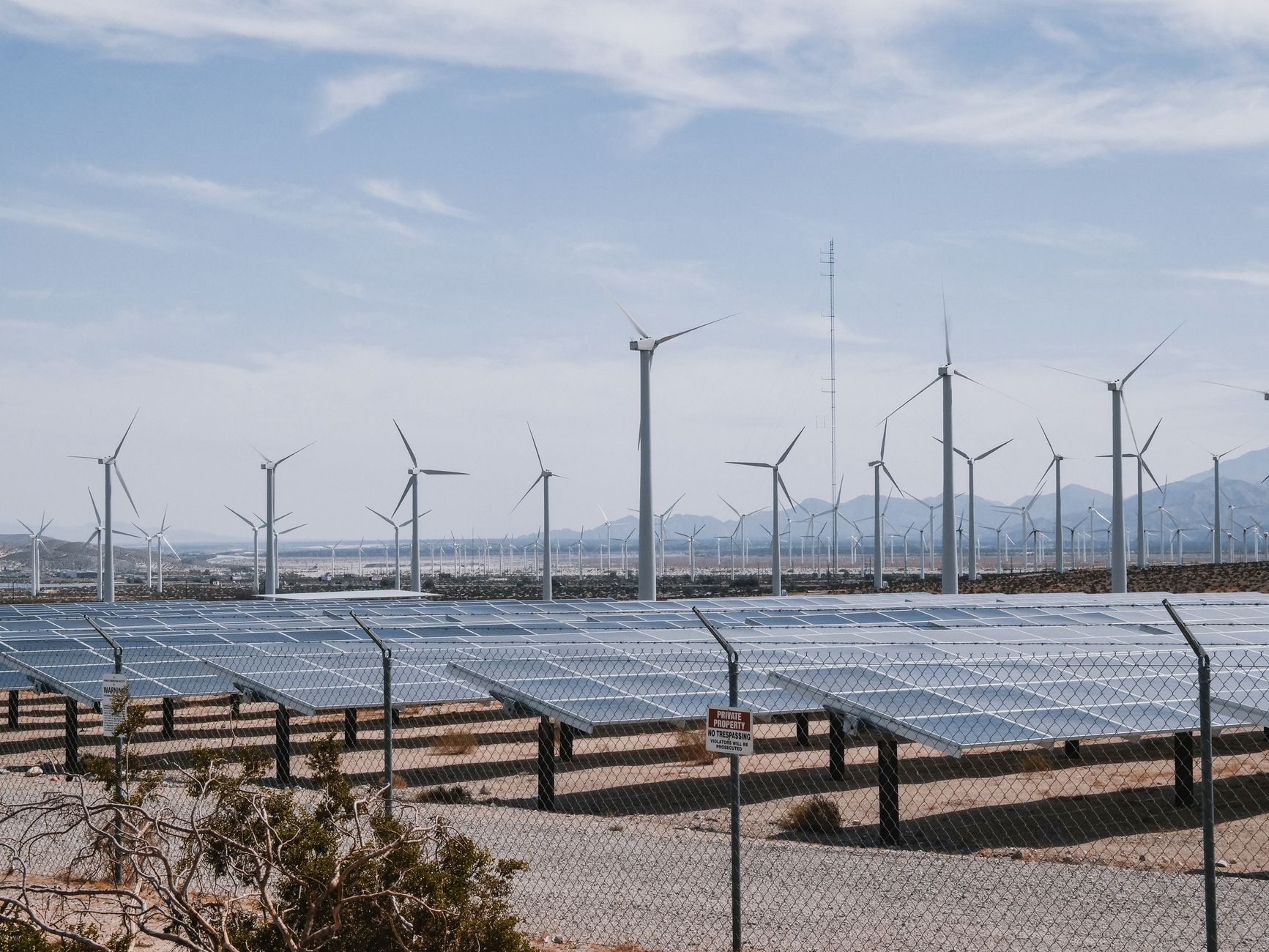 Rows of solar panels beside white wind turbines under a clear blue sky